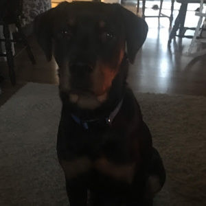 Meet your Posher, Carla